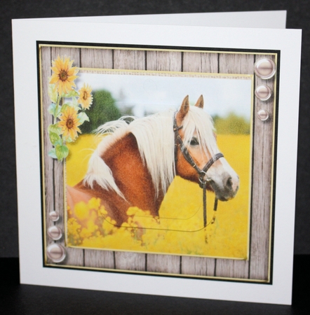 Buttercup Meadow , Pyramid by Marion Kimberley-Scott