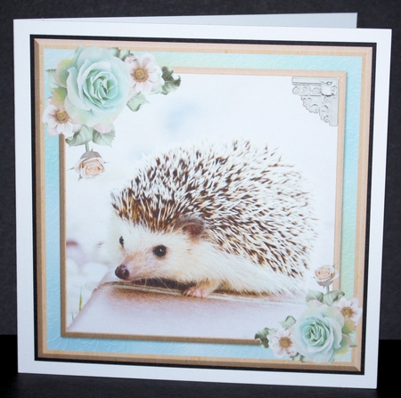 Cute hedgehog card mini kit & decoupage by Marion Kimberley-Scott