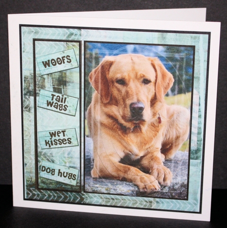 With love and WOOFs, Golden Retriever  by Marion Kimberley-Scott