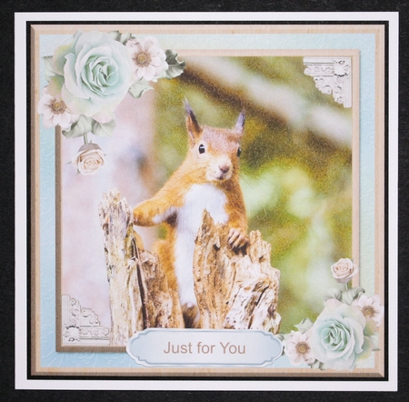 Cute squirrel card mini kit & decoupage by Marion Kimberley-Scott