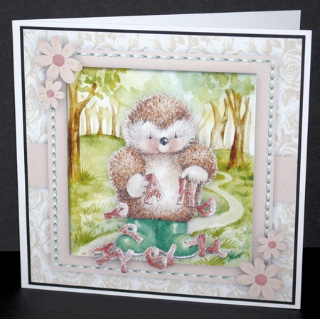 Happy Birthday Hedgehog   by Marion Kimberley-Scott