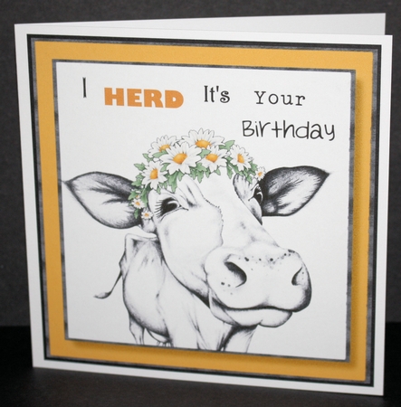 I HERD Its Your Birthday Featured Gallery Photo