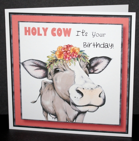 HOLY COW Its Your Birthday! 8x8 by Marion Kimberley-Scott