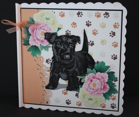 cute scottie puppy with pink/white peonies 7x7 by Marion Kimberley-Scott