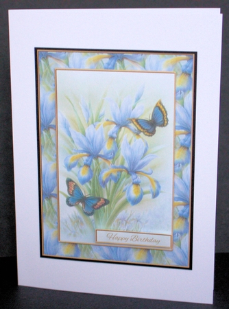 Lovely Rob Pohl Watercolor Birthday Topper by Marion Kimberley-Scott