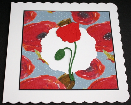 POPPIES & POLKA DOTS: A4  Multi-Directional Background/Backing Paper With Commercial Use by Marion Kimberley-Scott