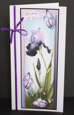 Bearded Iris & Butterflies LGE DL QUICK TOPPER Bumper Kit by Marion Kimberley-Scott