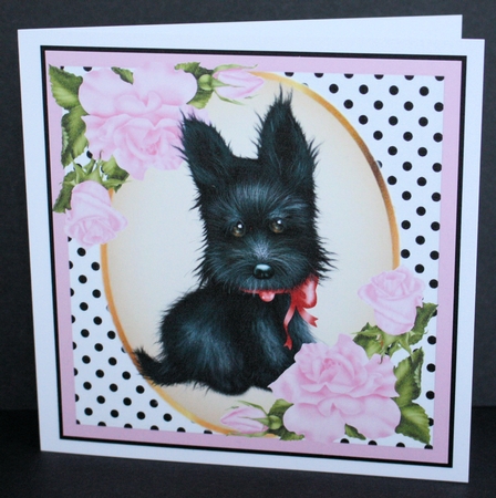 Cute black scottie dog with pink corner roses & polkadot 8x8 by Marion Kimberley-Scott