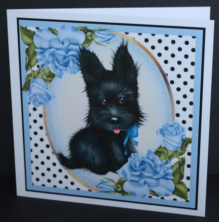 Cute black scottie dog with blue corner roses & polkadot 8x8 by Marion Kimberley-Scott