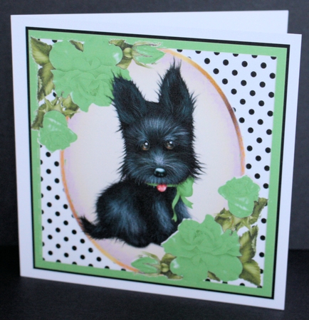 Cute black scottie dog with green corner roses & polkadot 8x8 by Marion Kimberley-Scott