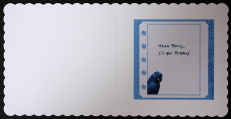 2 HYACINTH MACAW/BLUE PARROT INSERTS: One Blank, One With Short Verse, & Bonus Gift Tag by Marion Kimberley-Scott