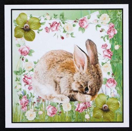 cute shy bunny with roses and flowers 8x8 by Marion Kimberley-Scott