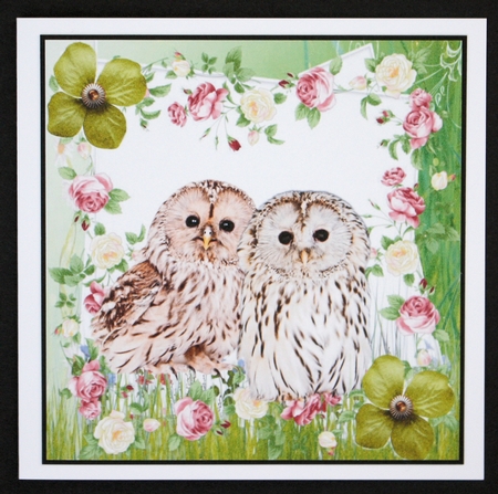 cute fluffy owls with roses and flowers 8x8 by Marion Kimberley-Scott