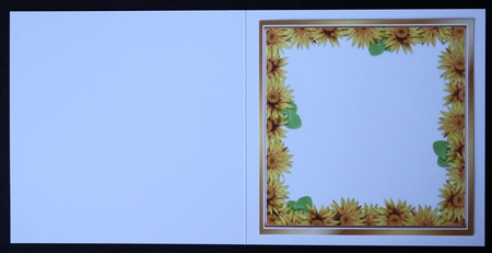 Cute water colour Animals with daisies & bows card fronts 8x8 mini kit  by Marion Kimberley-Scott