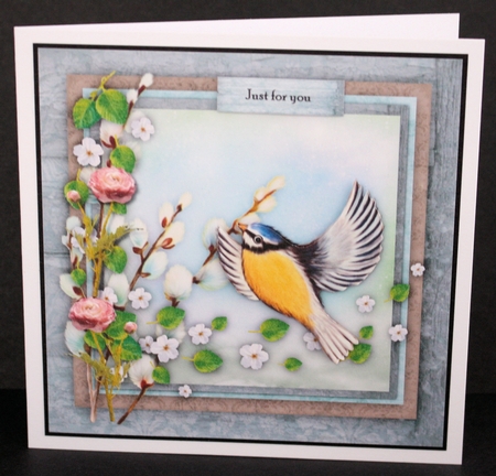 Bumperkit Birds Are Beautiful by Marion Kimberley-Scott