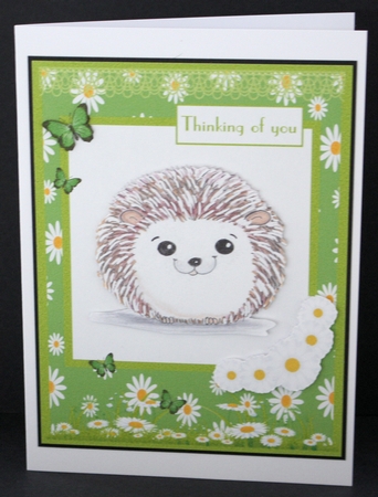 Cute hedgehog birthday greeting card by Marion Kimberley-Scott