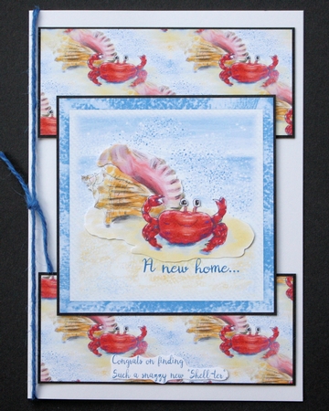 CRAB & SEASHELL: A4 Background/Backing Paper With Commercial Use by Marion Kimberley-Scott