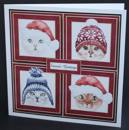 Christmas Hats Cats Quad Frame 8x8 by Marion Kimberley-Scott
