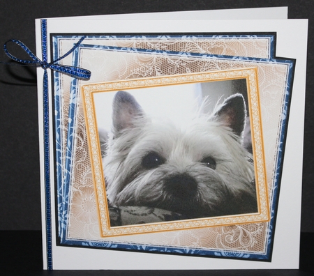MIX n MATCH SENTIMENTS WONDERING WESTIE by Marion Kimberley-Scott