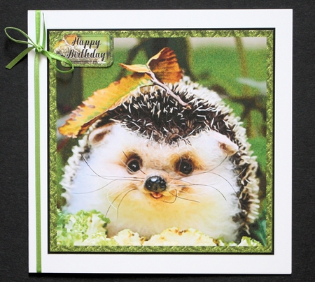 Hedgehog Geometric Layered 8x8 Mini Card Kit by Marion Kimberley-Scott