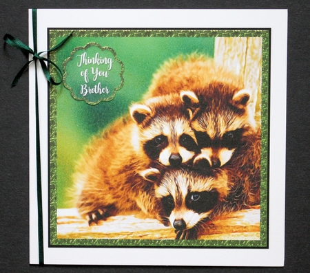 Raccoon Siblings 8x8 Scalloped Layered Mini Card Kit by Marion Kimberley-Scott