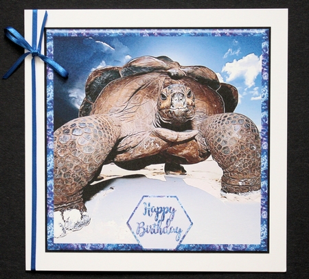 Old Turtle Hexagon Layered Mini Card Kit by Marion Kimberley-Scott