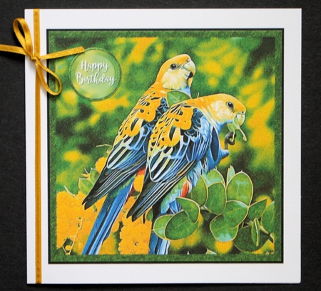 Parakeets Budgies Circle Layered Card Kit by Marion Kimberley-Scott