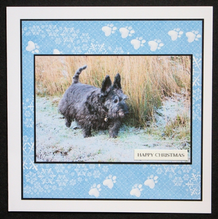 Its Kittymas 8x8  Papers 200Dpi by Marion Kimberley-Scott