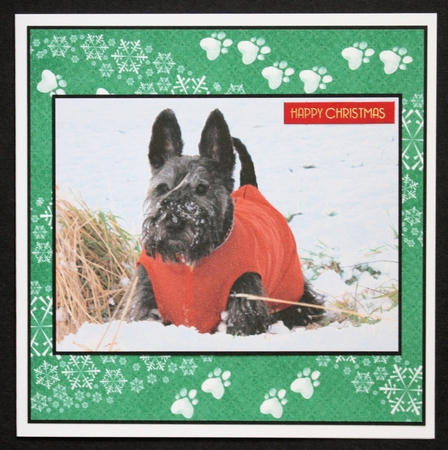 Bow Wows of Holly 8x8  Papers 200Dpi by Marion Kimberley-Scott