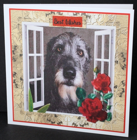 Irish Wolfhound 7x7 aprox by Marion Kimberley-Scott