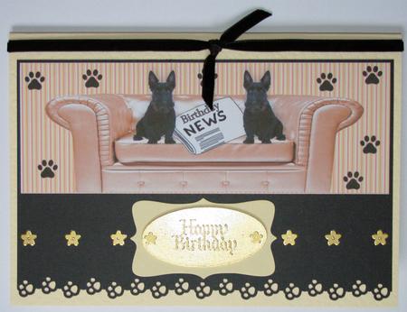 Sofa and Paws by Marion Kimberley-Scott