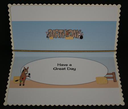 Donkeys Rock Birthday Large Dl Insert by Marion Kimberley-Scott