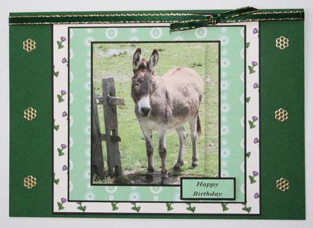 Little Donkey by Marion Kimberley-Scott