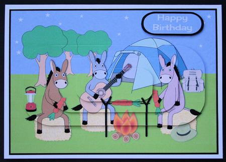 Camping Donkeys Pyramid by Marion Kimberley-Scott