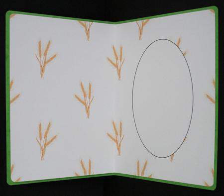 Wheat Insert by Marion Kimberley-Scott