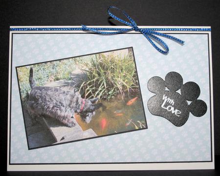 Paw Prints Background Pale Blue by Marion Kimberley-Scott