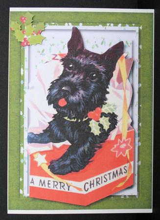 Lovely Scottie in a Christmas Box  by Marion Kimberley-Scott