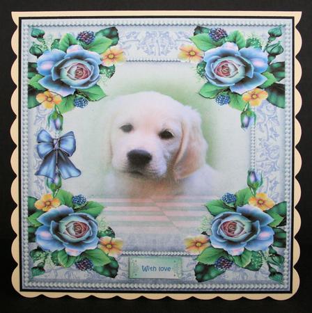 Puppy by Marion Kimberley-Scott