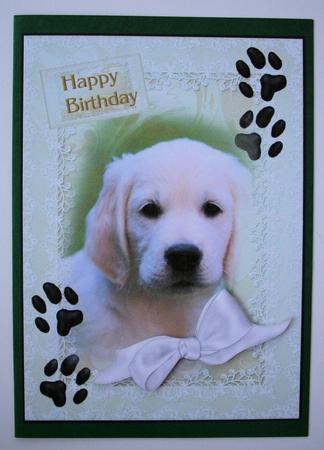 Puppy - i Miss You/birthday,get Well Soon by Marion Kimberley-Scott