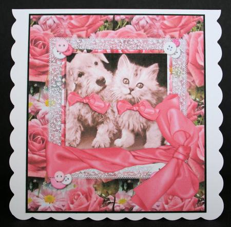 Cute Pets in Pink by Marion Kimberley-Scott