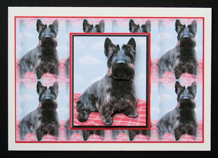 Scottish Terrier 3D Decoupage with Background by Marion Kimberley-Scott