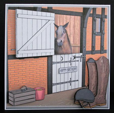 Neigh Lad Your Not Old by Marion Kimberley-Scott