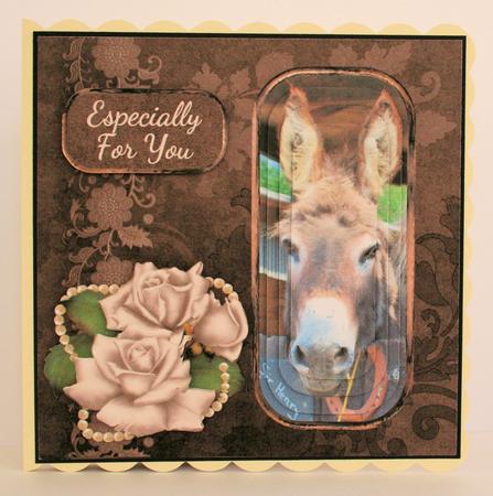 Grey Donkey by Marion Kimberley-Scott