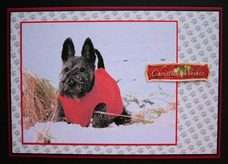 Paw Prints Background Grey by Marion Kimberley-Scott