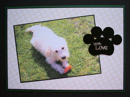 Paw Prints Background Beige by Marion Kimberley-Scott