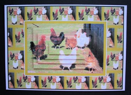 Birds of a Feather by Marion Kimberley-Scott