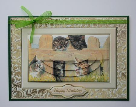 Cats on the Fence Quick Card by Marion Kimberley-Scott