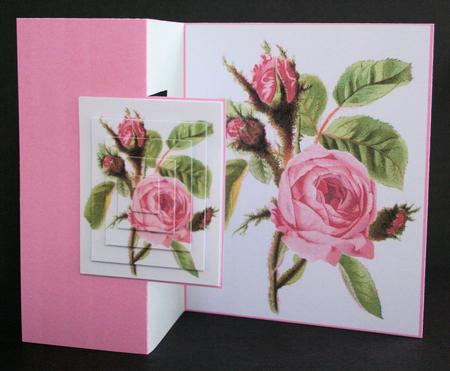 Vintage Pink Rose Fold Back by Marion Kimberley-Scott