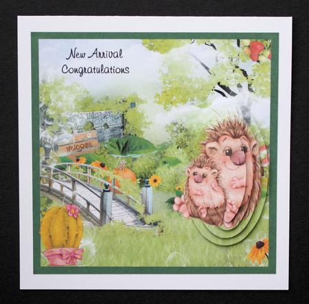 Hedgehogs New Arrival by Marion Kimberley-Scott