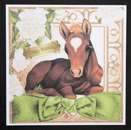 Pretty Foal with Cream Roses and Big Bow 8x8 by Marion Kimberley-Scott
